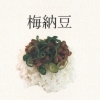 梅納豆