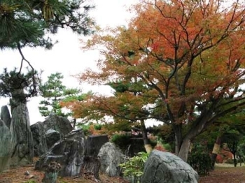 （紅葉の公園風景）