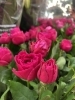「バラの日🌹」