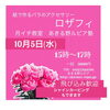 「10/5(水) ロザフィとシャインカービングの教室」