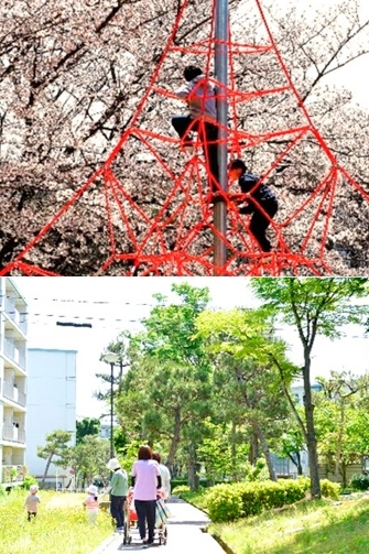 上　福西公園　ザイルクライミング
魅力ある公園や緑の多いまち！「京都市西京区役所 洛西支所」
