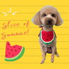 「Dog salon mofu mofu　余市町」