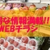 三次のお得な情報満載チラシのご紹介！～三次のお買い物・イベント情報も！～