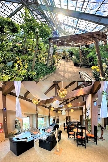 植物園内は癒しのスポット！
店内にはソファーやテーブル席も♪「韓国風カフェ Hugpopo（ハグポポ）」