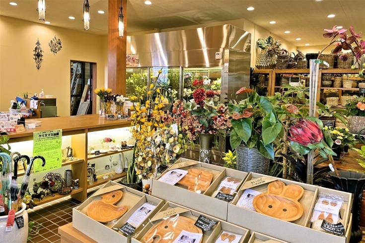 「緑化フラワーセンター はなも本店」ちょっぴり心豊かに。身近な所にお花のある生活を。