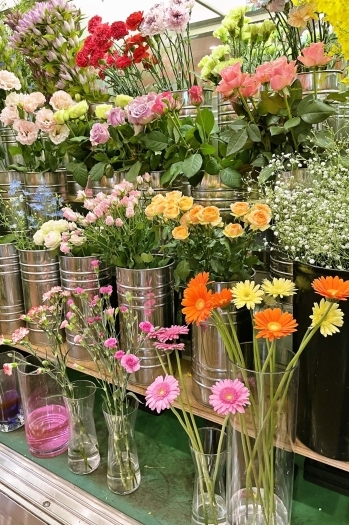 季節やシーンに合わせて、最適なお花をご提案いたします！「緑化フラワーセンター はなも本店」