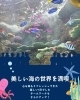 心おどる色とりどりの魚たちの世界「小松島市・特別養護老人ホーム千歳苑　春の職員遠足で須磨水族館へ行ってきました🐟」