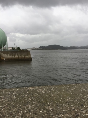 朝のウォーキング（雲で大山が見えません）「2週間で2，5キロ減量しました♡♡」