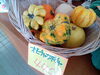 「ハロウィンにおすすめの商品あります。季節の花やグリーンは、フローリストたかの。」