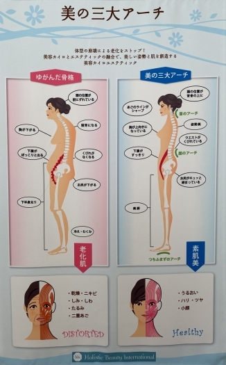 理想的な姿勢を目指せます！「骨セレブ」