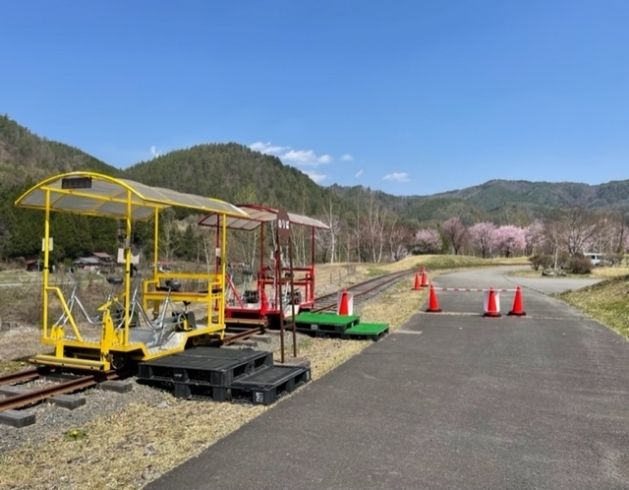 桜と林鉄バイク「松原スポーツ公園  林鉄バイクの準備、進んでいます」