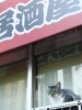 撮影:岡崎写真館/五反田
