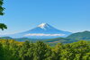 「【新入塾生募集｜入塾説明会のご案内】」