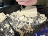 疑似化石掘り体験「ひだち教室体験活動記Vol.2〜天然石採集体験＆疑似化石発掘体験〜」