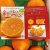 「愛媛県産　「紅まどんな」ですよー♡♡♡」
