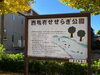 「黄色く色づくイチョウ並木（銀杏並木）が見頃！「西亀有せせらぎ公園」（上千葉砂原公園近く）の紅葉穴場スポット　※2022年11月27日（日）撮影」