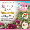 バラの町　伊奈町のバラまつり