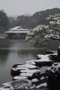 「『観光写真コンテスト２０１５（江東区）』」