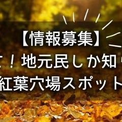 【情報募集】教えて！地元民しか知らない紅葉穴場スポット