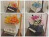 「✿楽器シリーズの新作✿」