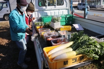 採れたて新鮮な野菜販売に出会えるかも「ケーファーム 知教塾」