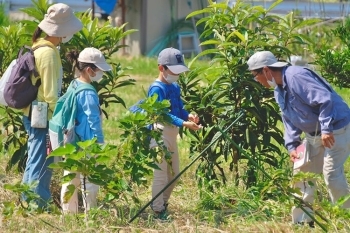 昆虫や鳥の観察をしたり、畑内で走り回ったりと楽しめます「ケーファーム 知教塾」