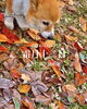 「Tuesday, 12th November 2024.」