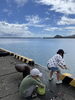 「【PV】日曜日は内海港まで魚釣り🎣【宮崎 ひなたまちのサロン lihi】」