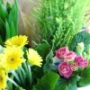 季節の花鉢