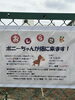 「1/12(日)低学年クラス レッスンレポート 「農園を取材してInstagram動画をアップしよう編！」　 江戸川区・小岩の子供向け動画スクール！」