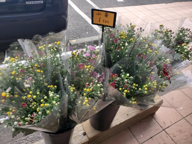 「お正月花たくさんあります♪」