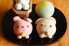 うさぎキャラ饅頭「今年の中秋の名月は『お月見だんご』とご一緒に！　橿原　大和八木駅前　和スイーツ専門店美松　」