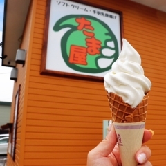 千歳市信濃【たま屋】 | 千歳・恵庭で食べられる 北海道のアイスクリーム特集| まいぷれ[千歳・恵庭]