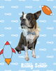 「Dog salon mofu mofu　余市町」