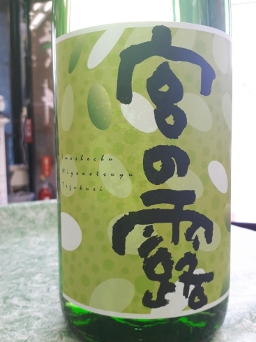 限定 宮の露 ライトグリーンラベル 芋焼酎 みやのつゆ 1800ml パンの様な甘い香ばしい香り 膨らみのある柔らかな甘みが特徴です 酒のしがらきのニュース まいぷれ 宮崎 限定 宮の露 ライトグリーンラベル 芋焼酎 みやのつゆ 1800ml パンの様な甘い香ばしい香り 膨らみのある柔らかな甘みが特徴です 酒のしがらきのニュース まいぷれ 宮崎