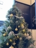 店内もクリスマス仕様「Merry Christmas 2024  」