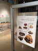 「企画展「恐竜がいた時代の朝日町」」