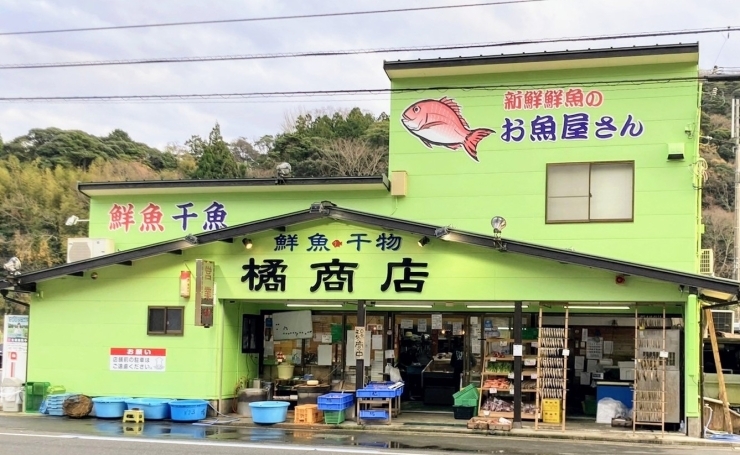 「株式会社 橘商店」「京丹後一愛される魚屋」の願いを込め　旨い魚があれば家庭円満！