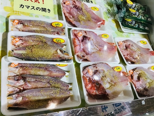 魚魚市場鮮魚コーナーおすすめは カマス 水イカ です 魚魚の宿のニュース まいぷれ 佐世保 魚魚市場鮮魚コーナーおすすめは カマス 水イカ です 魚魚の宿のニュース まいぷれ 佐世保