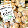 「山のアスパラガス 極太『しおで』が入荷する事も⁈」