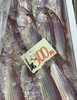 「魚魚市場鮮魚コーナー「ヒゲダイ」です♪」