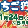 京成電鉄で行く「いちご狩り」2026年1月24日（土）～5月末まで開催中！