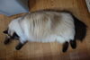 もうダメにゃ！「ねこ」