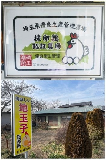 直売所はこの看板が目印。幸運を運ぶ猫に出会えるかも！「松村養鶏場」
