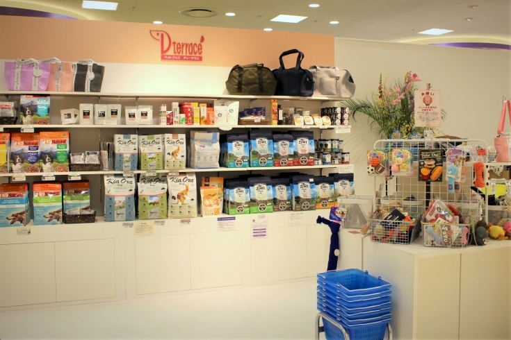 「ペットグッズ ディーテラス 伊勢丹立川店」お客様に寄り添い、最適な商品を提案するペットグッズのお店です
