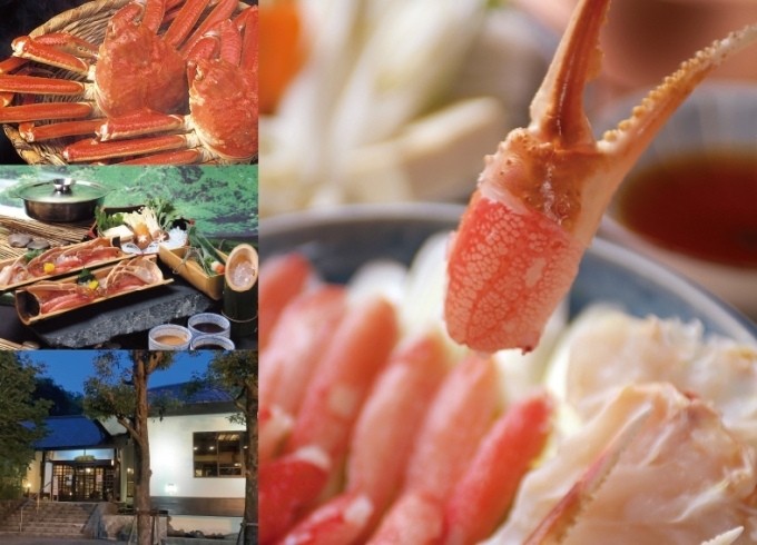 「京風かに・鰻料理 和音」季節の移ろいを感じられるロケーションで寛ぐ本格かに・鰻料理店