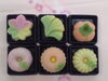 「秋の和菓子」