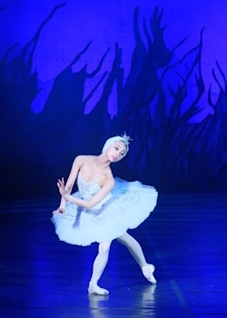 ロシアのバレエ団で踊る卒業生「フィーユバレエスクール 出雲教室」