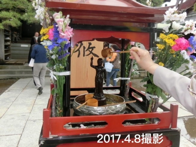 写真は2017.4.8撮影「４月８日（木）「花まつり」でした 《柴又亀家おかみの独り言》【柴又名物草だんごが人気☆柴又帝釈天から一番近いお団子屋】」