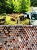 京都の野山に咲く花の香りも感じて下さい。「京都ヒグチ養蜂園」